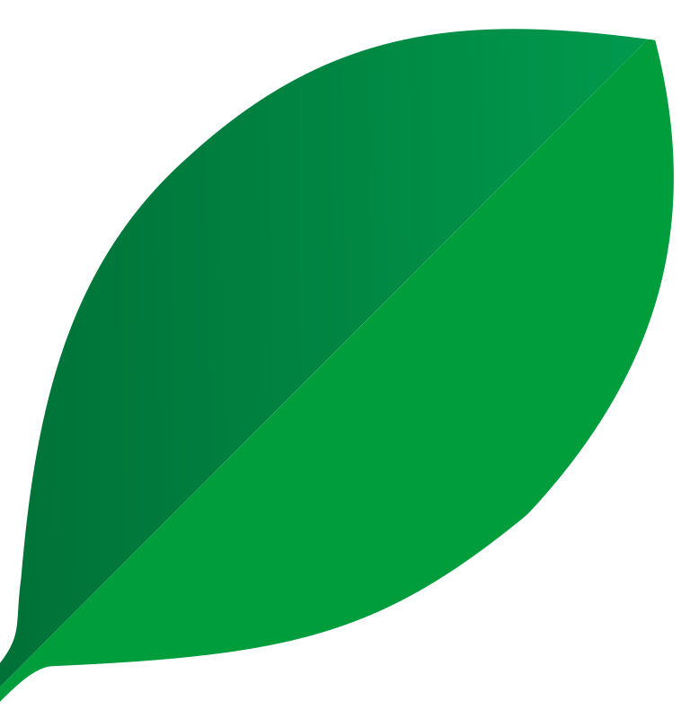 hoja_01