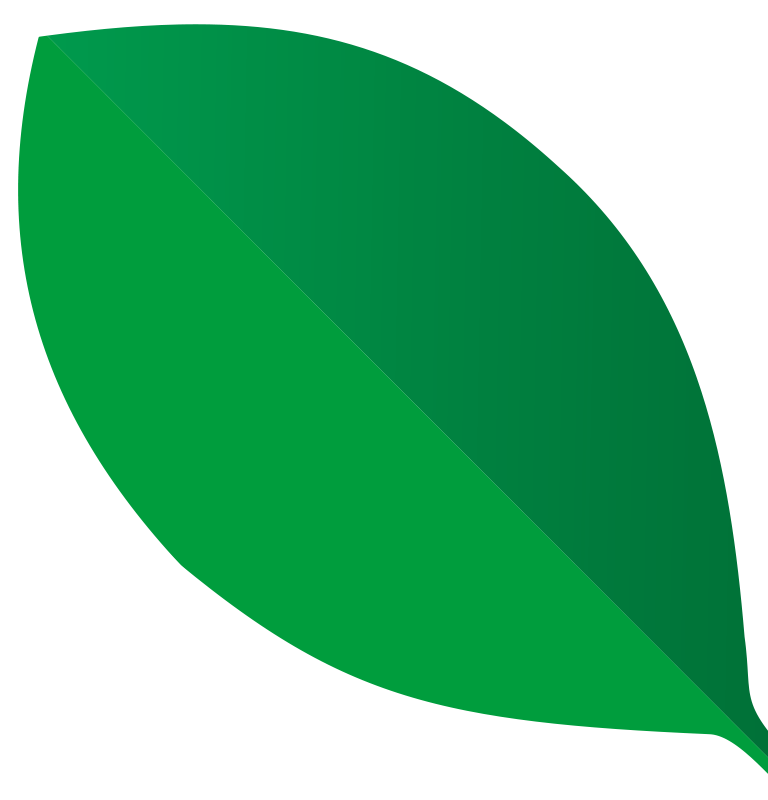 hoja_02